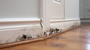 water damage restoration